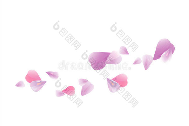 在白色背景上分离出浅粉色紫色花瓣。 玫瑰花瓣。 落下的樱花。 矢量EPS10CMYK