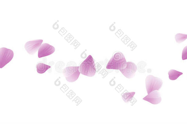 在白色背景上分离出的浅紫色花瓣。 玫瑰花瓣。 落下的樱花。 矢量EPS10CMYK