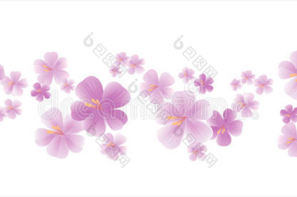 在白色背景上分离出的浅紫色花。 苹果树的花。 樱花。 矢量EPS10CMYK