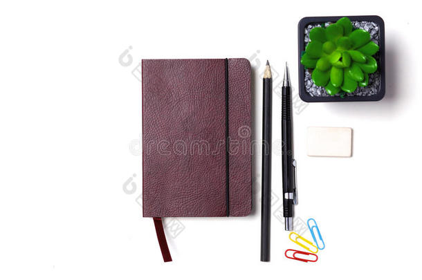 <strong>桌面上</strong>的日记，铅笔和仙人掌