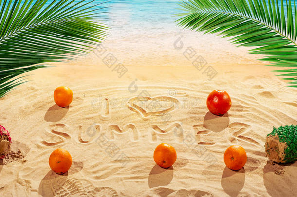 手工绘制的<strong>夏季</strong>标志在<strong>沙滩</strong>上，阳光、橘子、棕榈叶和海洋