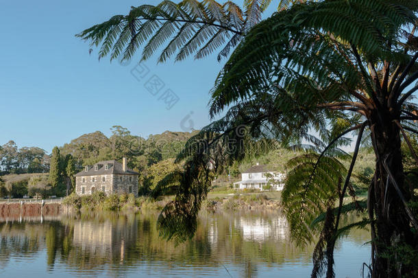 建筑学建筑目的地蕨类植物有历史意义的