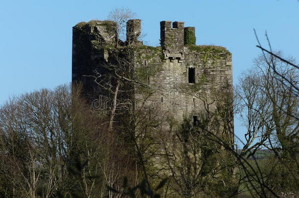 爱尔兰城堡塔楼的空壳，周围是树枝