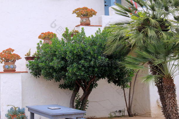 美丽的景象，大型盆栽花草树木，靠近家的入口