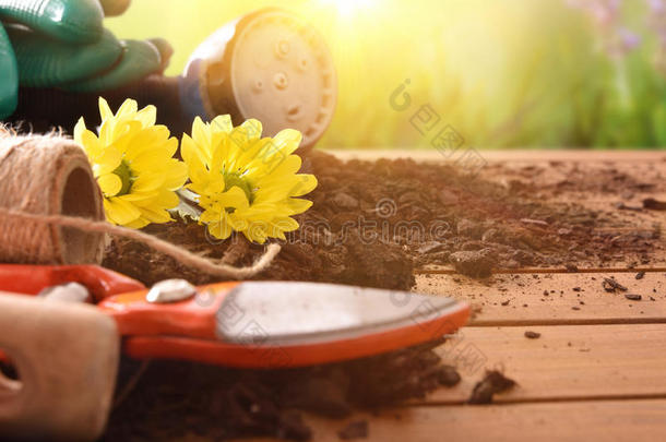 树木、植物、花卉和自然背景的园艺工具