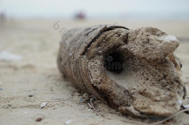 背景海滩模糊关闭特写镜头