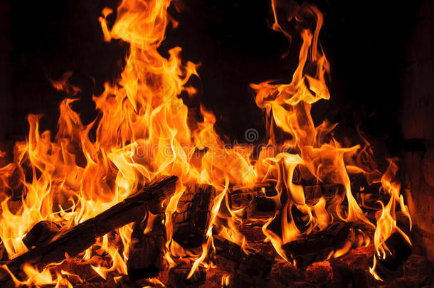 篝火在燃烧的原木上燃烧