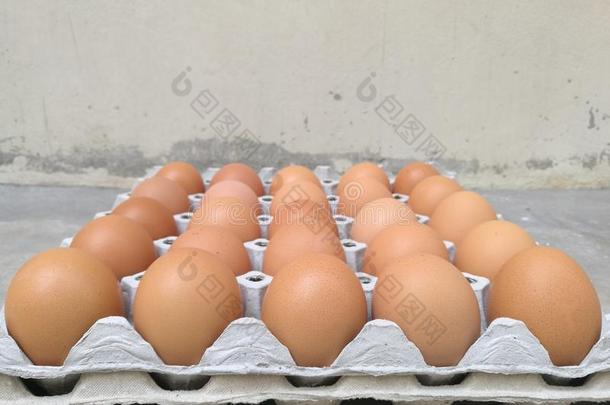 十几个<strong>鸡蛋</strong>煮早餐在<strong>鸡蛋</strong>储存托盘与模糊的背景，复活节<strong>鸡蛋</strong>隐藏