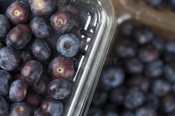 关闭照片蓝莓与雨水在农民`的市场