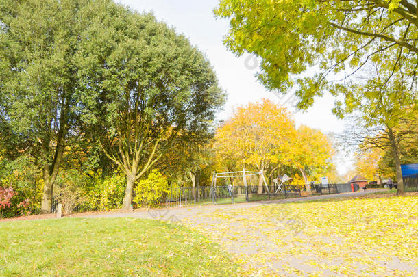 秋天在公园里，树上和小路上有一片红色和黄色的叶子