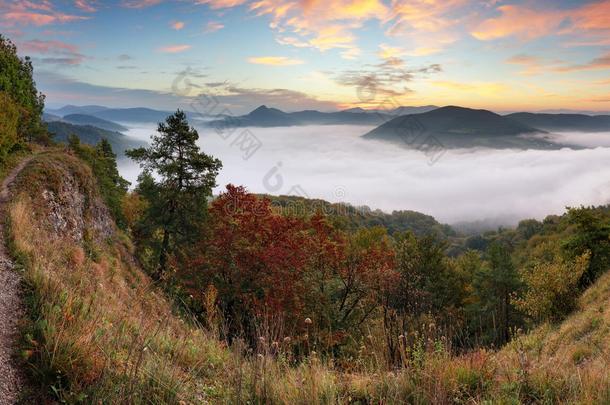 秋天的日出在薄雾和森林景观上，斯洛伐克，诺西