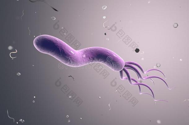 攻击背景细菌生物学细胞