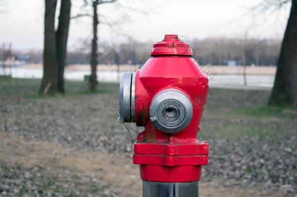 大自然中的消防栓在河边