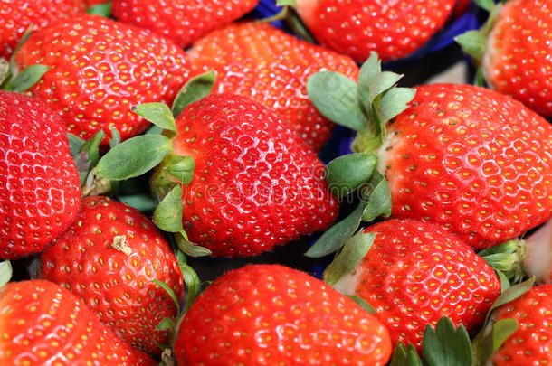 背景红色成熟草莓在市场上出售