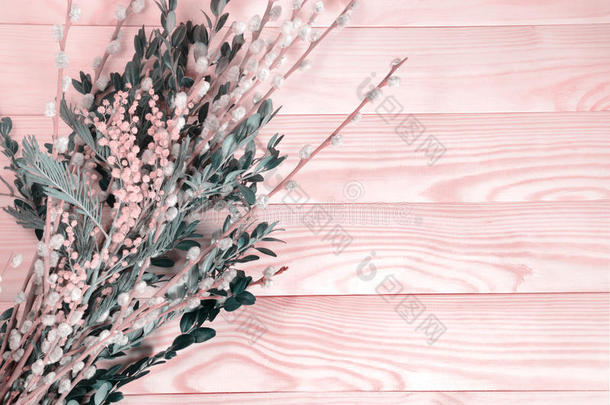 美丽的柳树和咪咪的花束在木制的背景上。 <strong>淡粉</strong>色的色调