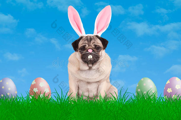 可爱的小狗坐在草地上，戴着兔子耳朵，旁边是五颜六色的复活节彩蛋，蓝天背景