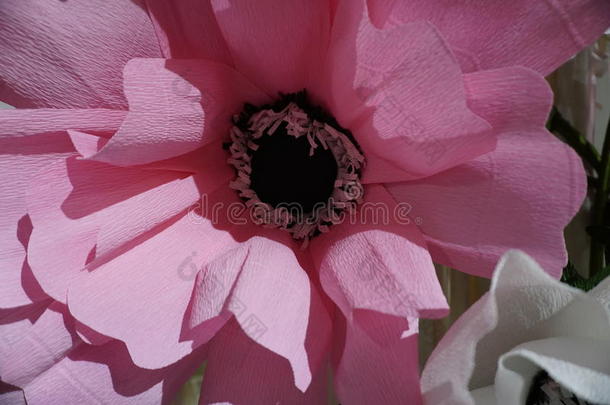 人造粉红色的花与阴影和灯光紧密相连。 粉红色的花质感