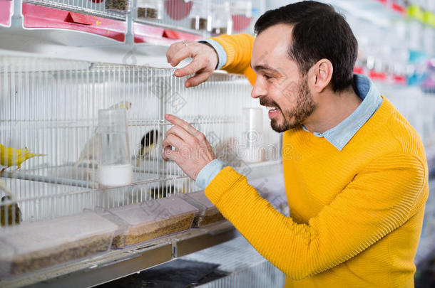 家伙客户检查各种鸟类物种在宠物店