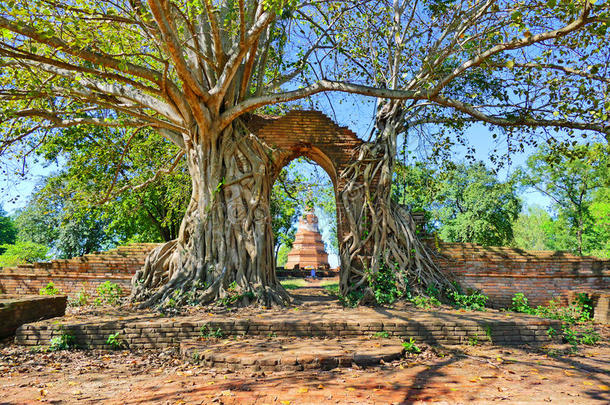 废弃的古代佛教寺庙废墟的Watphrangam从晚ayutthaya时期，在历史悠久的城市大城，泰国