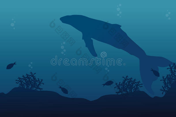 海洋景观剪影上的大鲸鱼