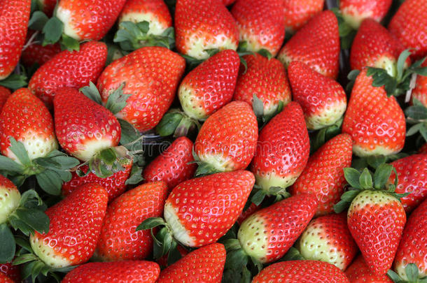 背景红色成熟草莓在市场上出售