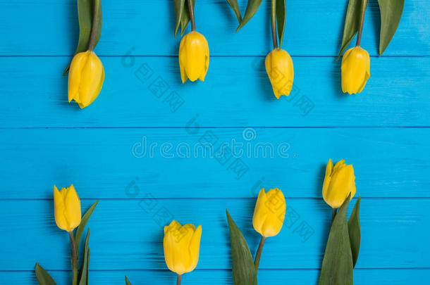 背景与黄色郁金香在蓝色油漆木制木板从两边。 文字的位置。 顶部视图与复制空间
