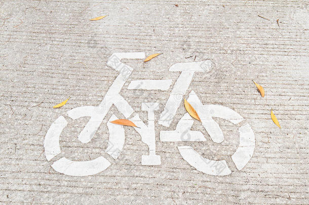 在公园的自行车道上画了自行车标志