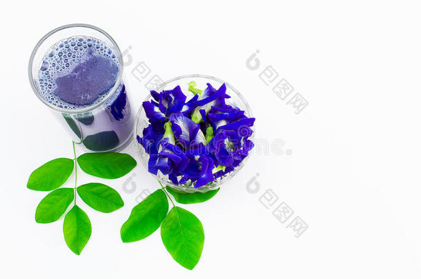 花蝴蝶豌豆汁在玻璃与新鲜的花和绿叶在白色的背景
