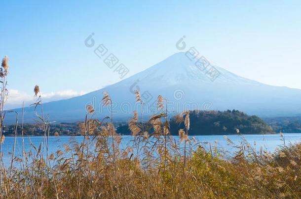 富士山。