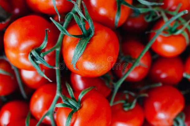 新鲜有机红色番茄在许多大型番茄中脱颖而出
