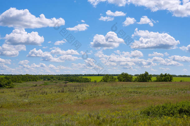 云彩在蓝天上漂浮在绿色的草原上
