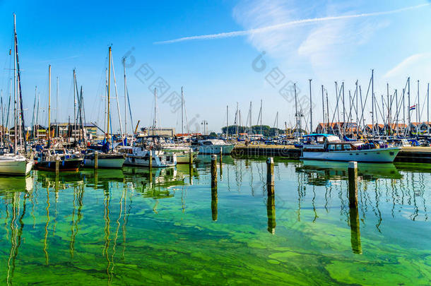 藻类藻类植物蓝色船划船