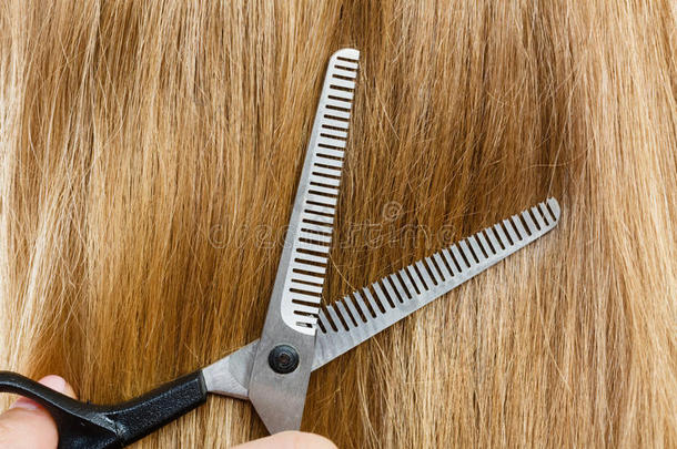 特写细节。<strong>剪头</strong>发的特殊剪刀。
