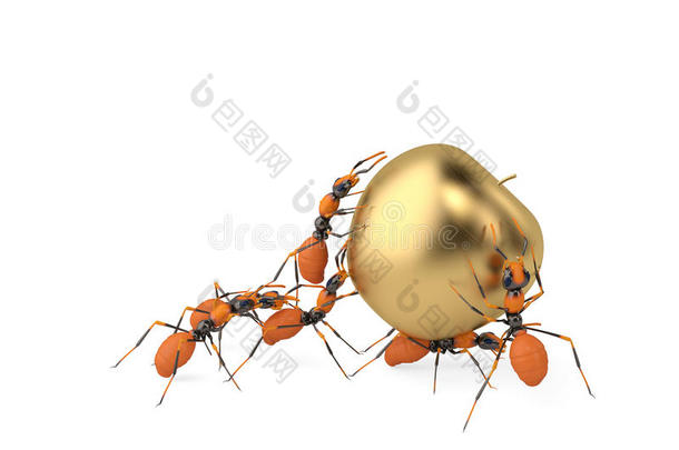 蚂蚁团队合作和金苹果。 三维插图。