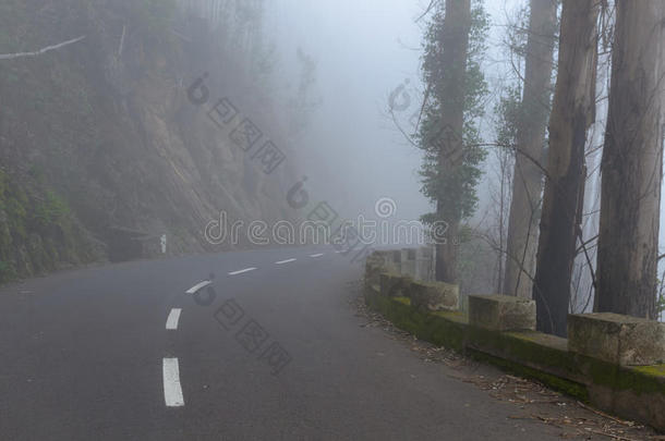 单独地沥青秋天背景<strong>光秃秃</strong>的