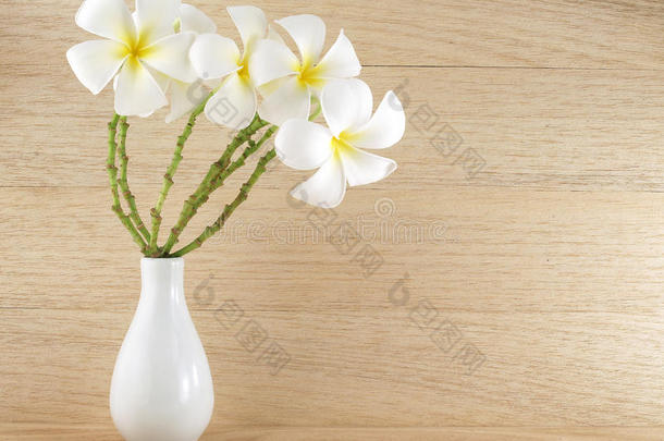 花束纯白色李子或佛朗吉帕尼在简单的白色陶器花瓶在木制桌子地板和木板墙背景