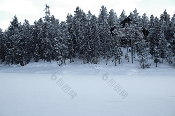森林中的小屋，松树，冬天的时候，积雪覆盖着