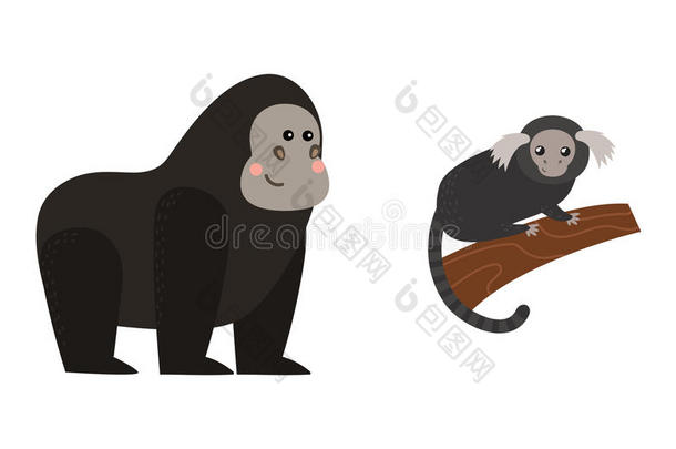 不同类型的猴子<strong>稀有动物</strong>载体集。