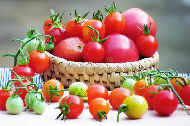 新鲜西红柿有多种颜色和大小，<strong>放在</strong>篮子里，<strong>放在木板上</strong>