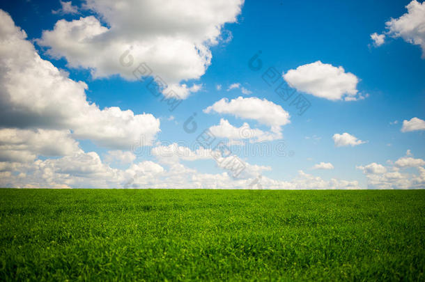 绿草蓝天白云
