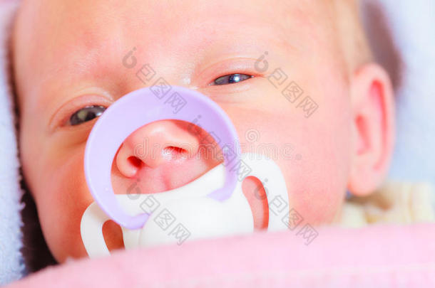 小新生儿的特写，嘴里躺着乳头
