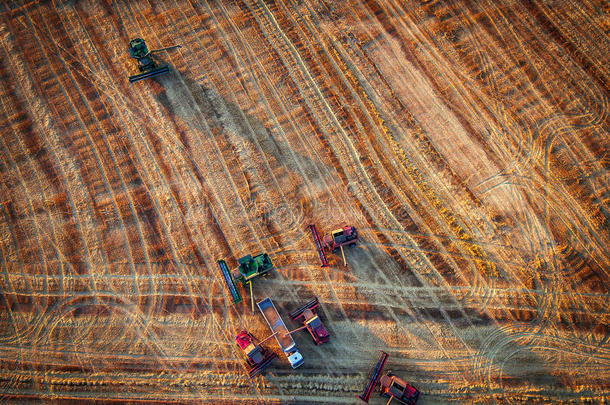 联合收割机农业机械收获的鸟瞰图