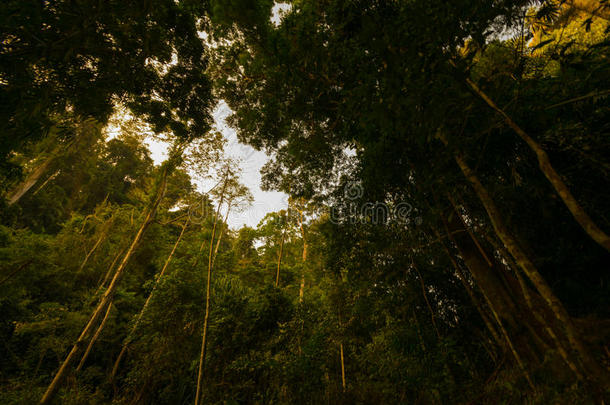 哥斯达黎加自然背景<strong>旅游目的地</strong>里约CelestecostaRica自然背景<strong>旅游目的地</strong>里约Celeste