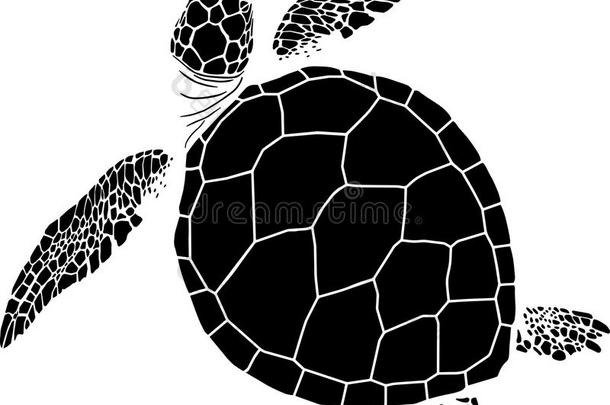 孤立的白色背景上海龟的轮廓