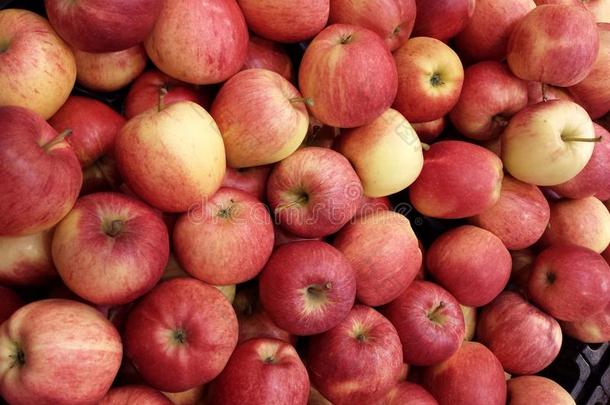 酸度农业苹果芳香背景