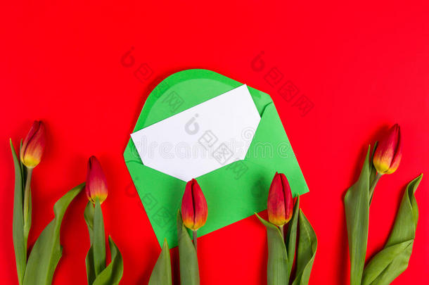 美丽的郁金香花束和绿色<strong>信封</strong>，红色背景上有<strong>卡片</strong>