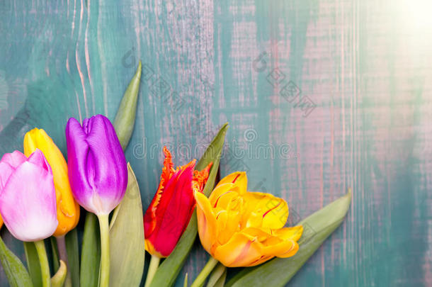 五颜六色的春天郁金香花在绿色的木制<strong>背景</strong>上作为贺卡，有自由的空间