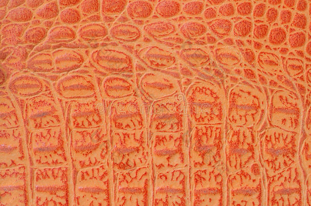 明亮的橙色鳞片宏观奇异的背景，压纹下的爬行动物，鳄鱼的皮肤。纹理真皮