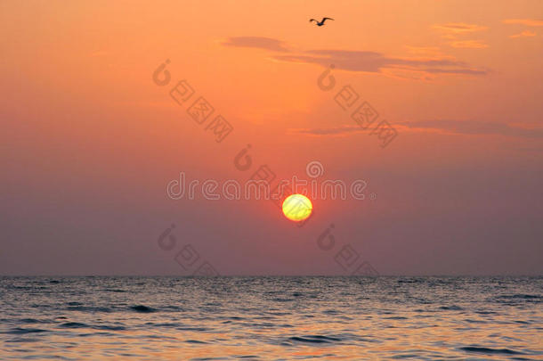 <strong>奇妙</strong>的橙色海洋日落地平线<strong>天空</strong>照片
