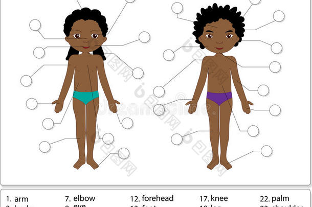 男孩和女孩。 身体<strong>部位</strong>，解剖